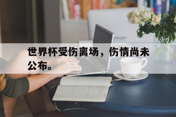 爱游戏平台-世界杯受伤离场，伤情尚未公布。
