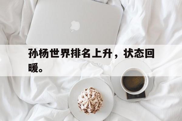 孙杨世界排名上升，状态回暖。