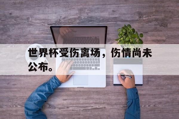 爱游戏平台官网入口官网-世界杯受伤离场，伤情尚未公布。