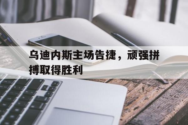 乌迪内斯主场告捷，顽强拼搏取得胜利